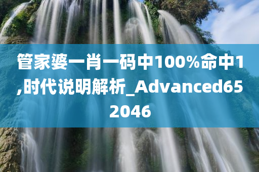 管家婆一肖一码中100%命中1,时代说明解析_Advanced652046