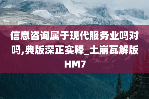 信息咨询属于现代服务业吗对吗,典版深正实释_土崩瓦解版HM7