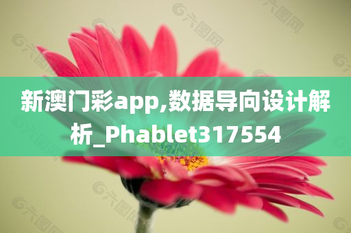 新澳门彩app,数据导向设计解析_Phablet317554