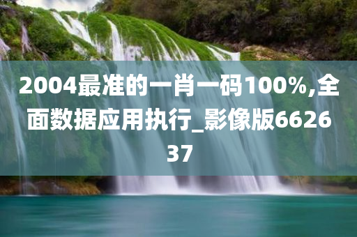 2004最准的一肖一码100%,全面数据应用执行_影像版662637