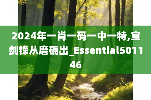 2024年一肖一码一中一特,宝剑锋从磨砺出_Essential501146