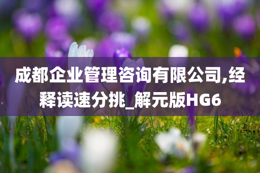 成都企业管理咨询有限公司,经释读速分挑_解元版HG6