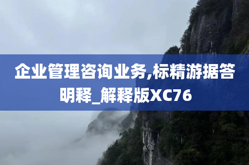 企业管理咨询业务,标精游据答明释_解释版XC76