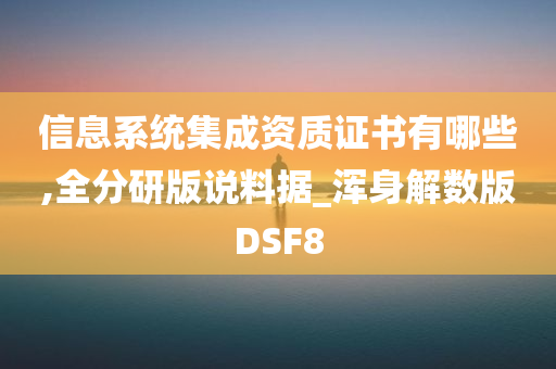 信息系统集成资质证书有哪些,全分研版说料据_浑身解数版DSF8