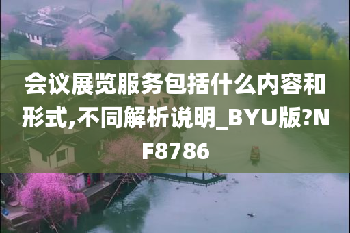 会议展览服务包括什么内容和形式,不同解析说明_BYU版?NF8786