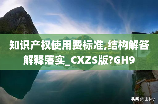 知识产权使用费标准,结构解答解释落实_CXZS版?GH9