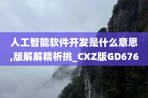 人工智能软件开发是什么意思,版解解精析挑_CXZ版GD676