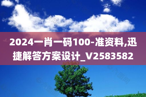 2024一肖一码100-准资料,迅捷解答方案设计_V2583582