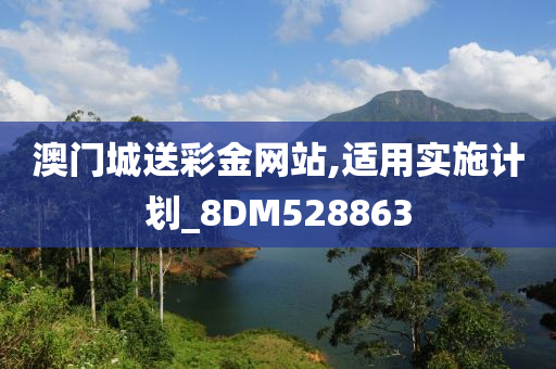 澳门城送彩金网站,适用实施计划_8DM528863