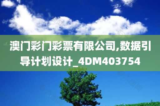 澳门彩门彩票有限公司,数据引导计划设计_4DM403754