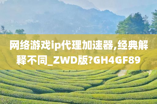 网络游戏ip代理加速器,经典解释不同_ZWD版?GH4GF89