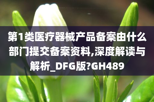 第1类医疗器械产品备案由什么部门提交备案资料,深度解读与解析_DFG版?GH489