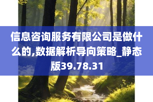 信息咨询服务有限公司是做什么的,数据解析导向策略_静态版39.78.31