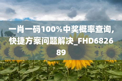 一肖一码100%中奖概率查询,快捷方案问题解决_FHD682689