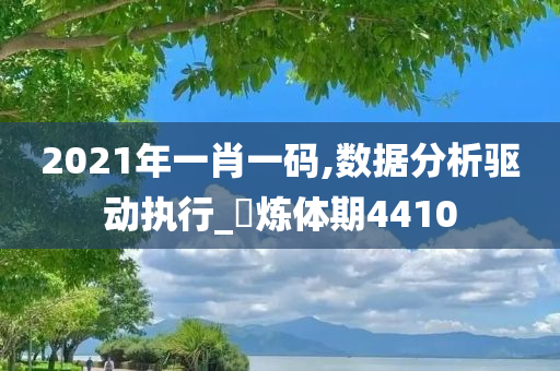 2021年一肖一码,数据分析驱动执行_‌炼体期4410