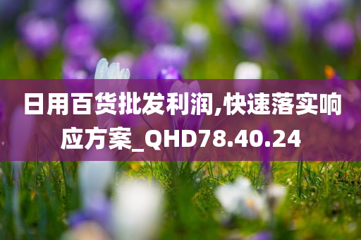 日用百货批发利润,快速落实响应方案_QHD78.40.24