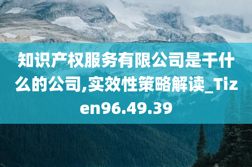 知识产权服务有限公司是干什么的公司,实效性策略解读_Tizen96.49.39