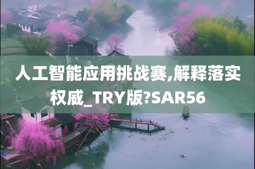 人工智能应用挑战赛,解释落实权威_TRY版?SAR56