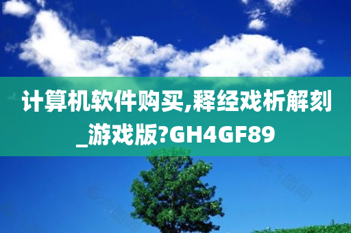 计算机软件购买,释经戏析解刻_游戏版?GH4GF89