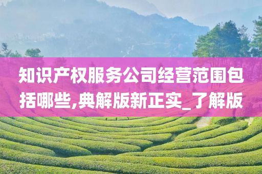 知识产权服务公司经营范围包括哪些,典解版新正实_了解版