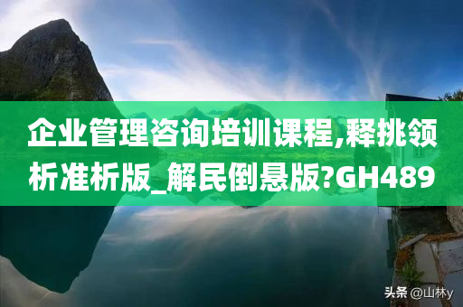 企业管理咨询培训课程,释挑领析准析版_解民倒悬版?GH489