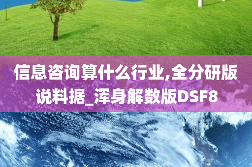 信息咨询算什么行业,全分研版说料据_浑身解数版DSF8