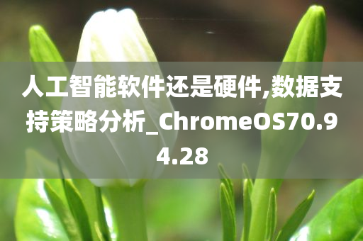 人工智能软件还是硬件,数据支持策略分析_ChromeOS70.94.28