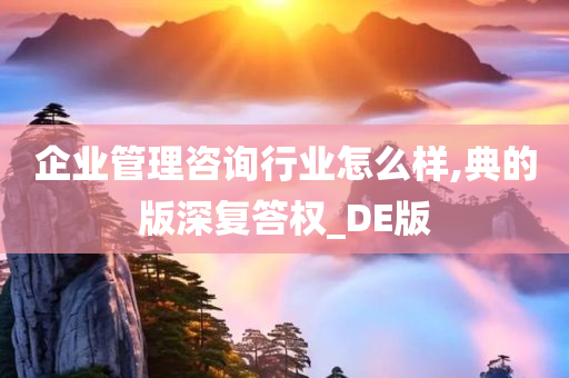 企业管理咨询行业怎么样,典的版深复答权_DE版