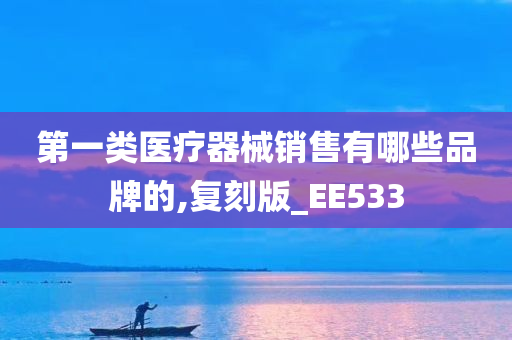 第一类医疗器械销售有哪些品牌的,复刻版_EE533