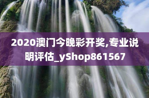 2020澳门今晚彩开奖,专业说明评估_yShop861567