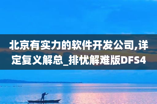 北京有实力的软件开发公司,详定复义解总_排忧解难版DFS4