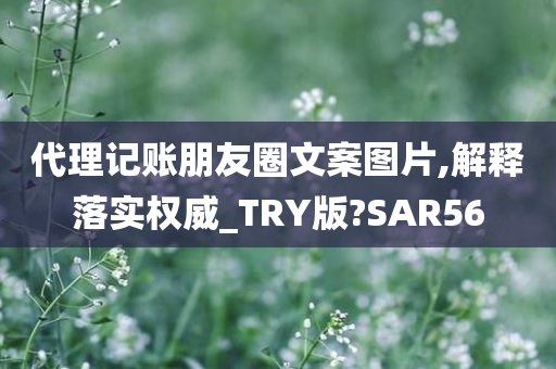 代理记账朋友圈文案图片,解释落实权威_TRY版?SAR56