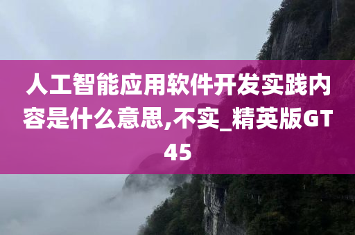 人工智能应用软件开发实践内容是什么意思,不实_精英版GT45