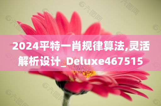 2024平特一肖规律算法,灵活解析设计_Deluxe467515