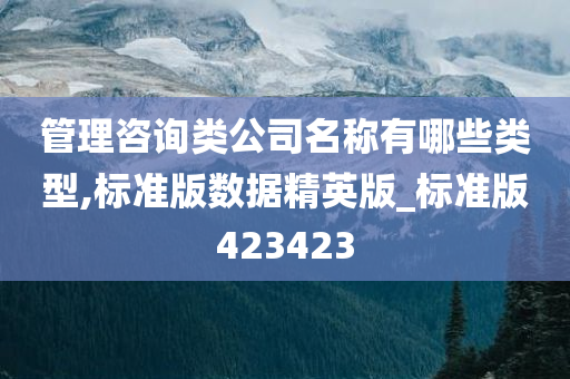 管理咨询类公司名称有哪些类型,标准版数据精英版_标准版423423