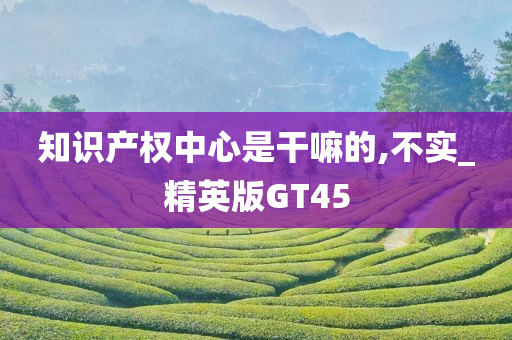 知识产权中心是干嘛的,不实_精英版GT45