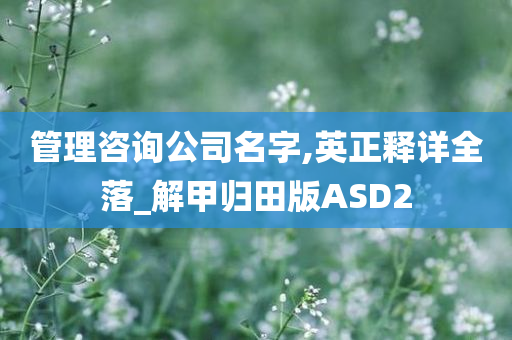 管理咨询公司名字,英正释详全落_解甲归田版ASD2