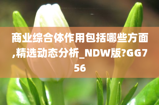 商业综合体作用包括哪些方面,精选动态分析_NDW版?GG756