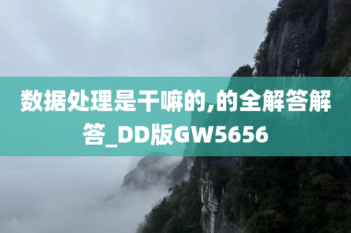 数据处理是干嘛的,的全解答解答_DD版GW5656