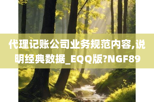 代理记账公司业务规范内容,说明经典数据_EQQ版?NGF89