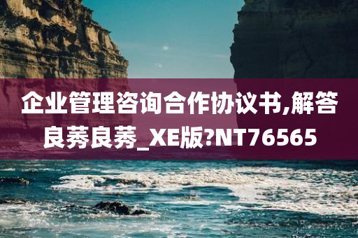 企业管理咨询合作协议书,解答良莠良莠_XE版?NT76565