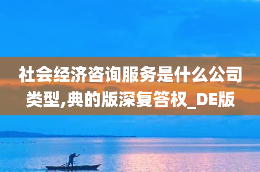 社会经济咨询服务是什么公司类型,典的版深复答权_DE版