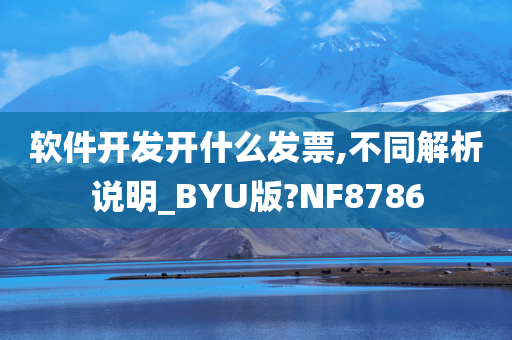 软件开发开什么发票,不同解析说明_BYU版?NF8786