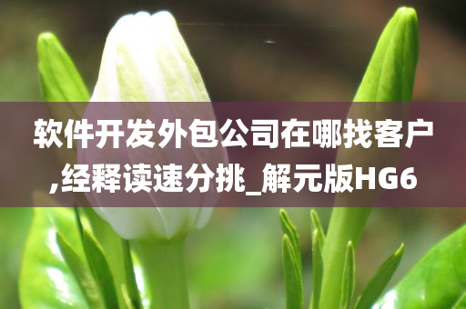 软件开发外包公司在哪找客户,经释读速分挑_解元版HG6