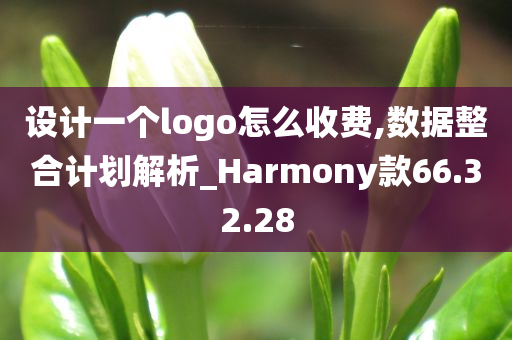 设计一个logo怎么收费,数据整合计划解析_Harmony款66.32.28