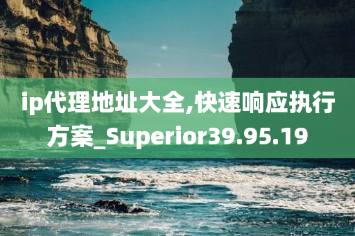 ip代理地址大全,快速响应执行方案_Superior39.95.19