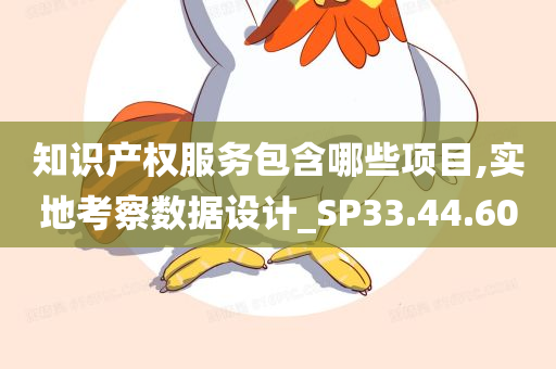 知识产权服务包含哪些项目,实地考察数据设计_SP33.44.60