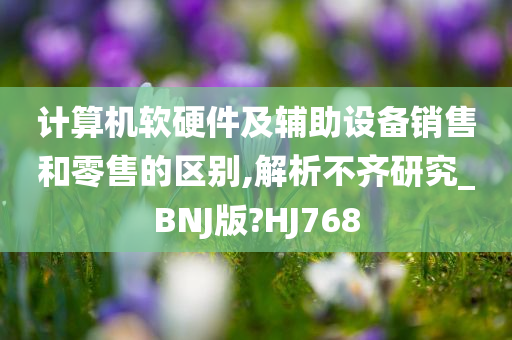 计算机软硬件及辅助设备销售和零售的区别,解析不齐研究_BNJ版?HJ768