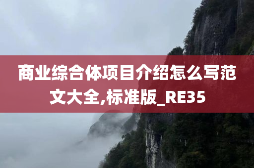 商业综合体项目介绍怎么写范文大全,标准版_RE35