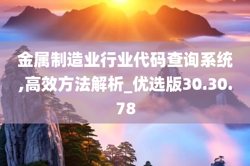 金属制造业行业代码查询系统,高效方法解析_优选版30.30.78